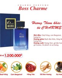 Nước Hoa Nam Charme Boss Charme 100ml - 8936194690166
