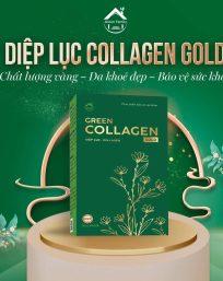 Diệp lục Collagen Gold hộp lớn 30 gói chính hãng Green Family - 8936095911353