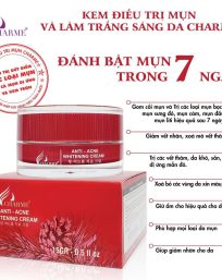 Kem Face Mụn Hàn Quốc Charme Anti Acne Whitening Cream - 8809273480210