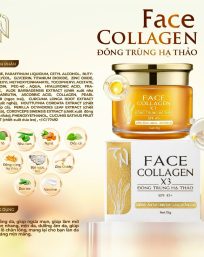 Combo Kem Face Ngày Collagen X3 TN Mỹ Phẩm Đông Anh - CBFACEX3TNNGAY