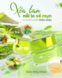 Combo Kem Face Cao Mụn Sữa Ong Chúa + Kem Face Xanh Mụn Thâm SON Cosmetic - COMBOSON10